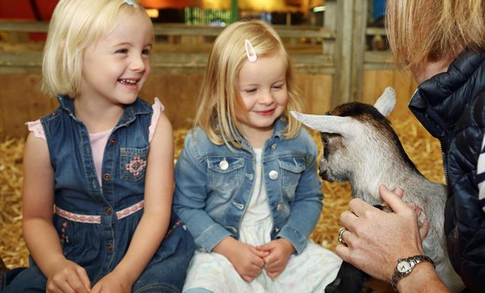 Meet and Greet in the Jolly Barn